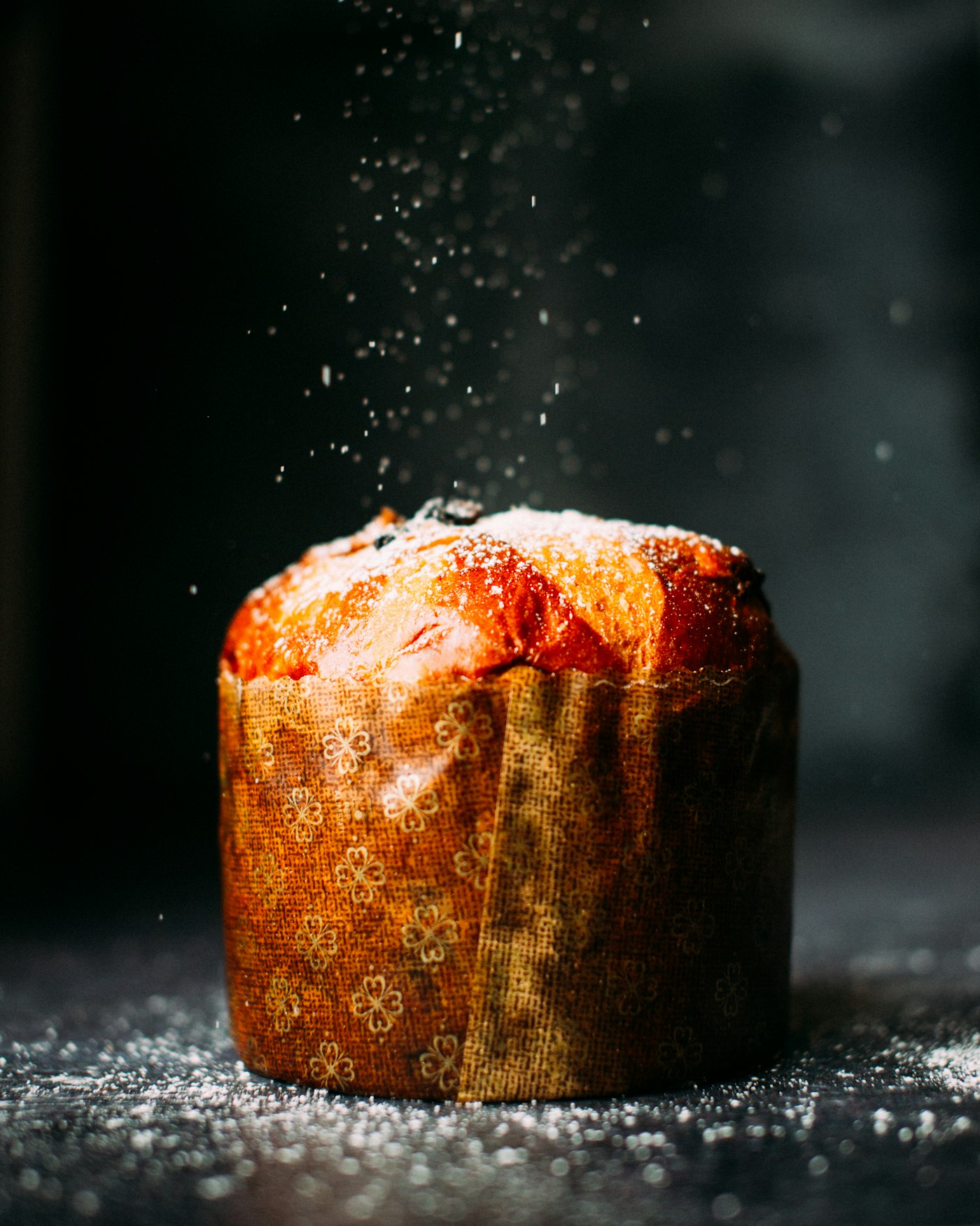Panettone dusted with icing sugar