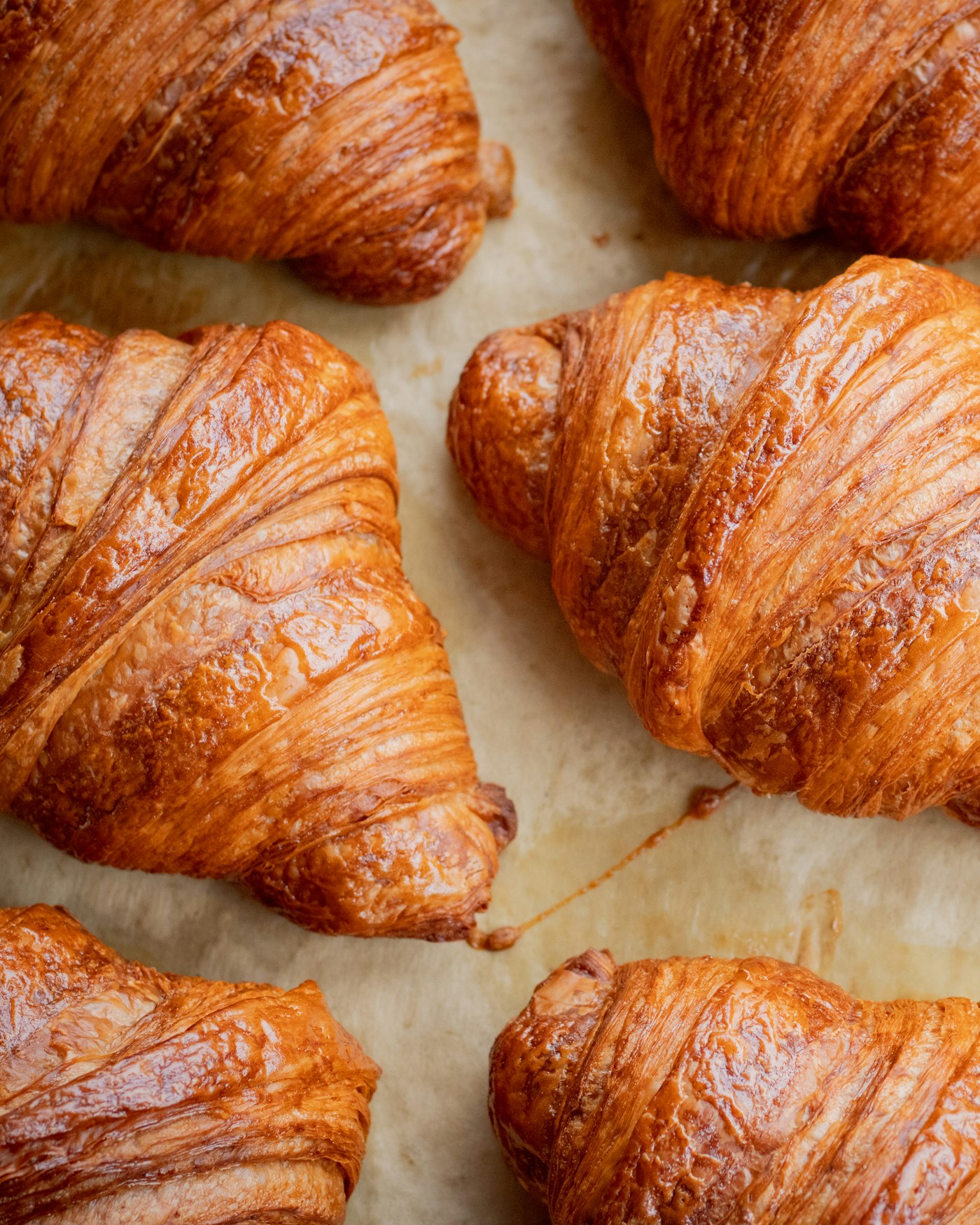 Tray of freshly baked croissants